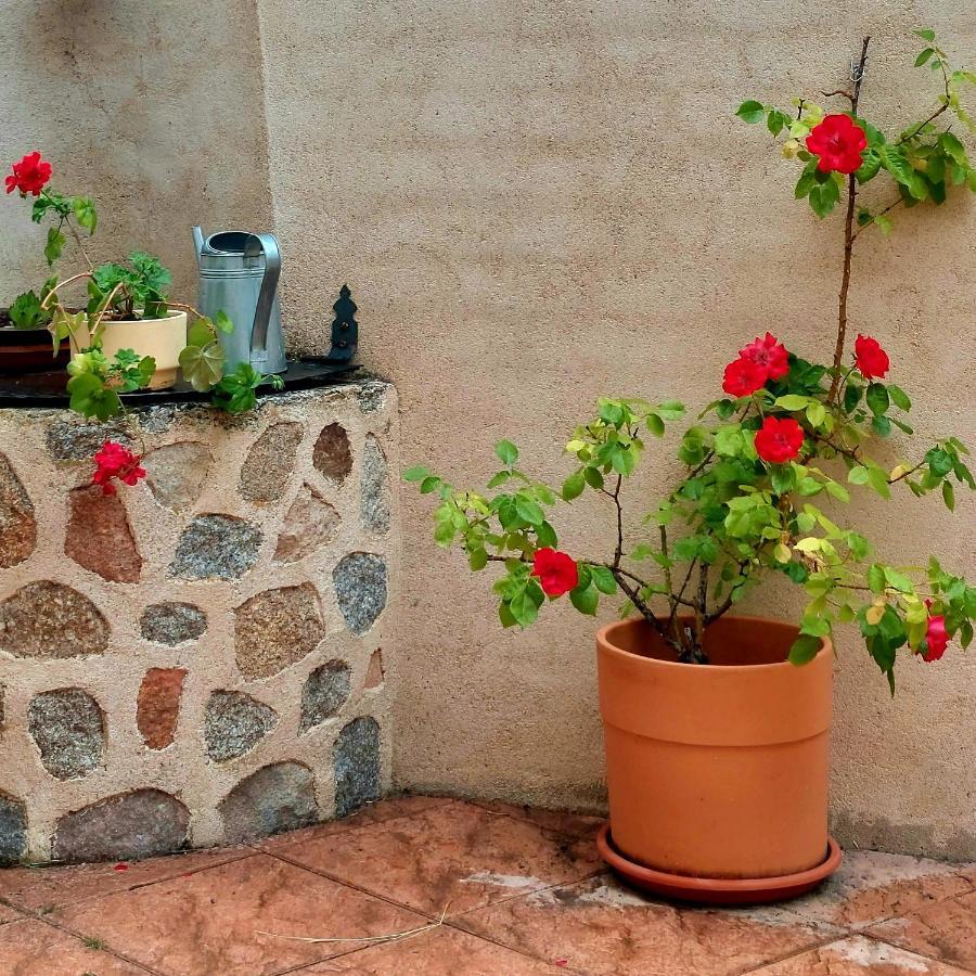 Casa Rural Abuela Reme El Fresno Dış mekan fotoğraf